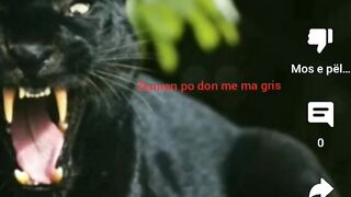 Pantera mandi