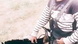 Düşünlü vidos
