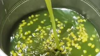 Panipuri