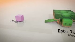 Minecraft Size Comparison