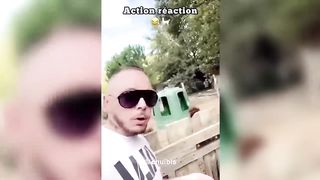 Petite compilation de vidéo drôle