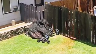Car parkour