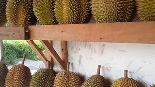 Durian