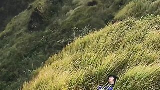 Padang rumput