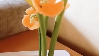 how to make flowers from carrots