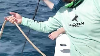 Shark Eats GoPro or Fish?