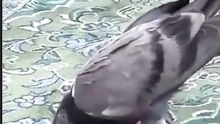 SUBHANALLAH 2