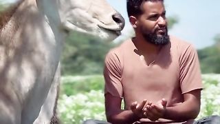 Beautiful animal 2