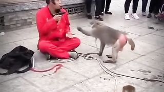 knife VS gun