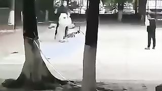Funny 592
