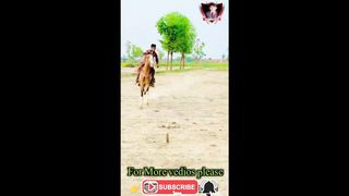 #best#of#world#yungest#horse#ridir#2023