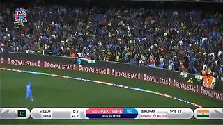 Find 'cricket video' on TikTok - TikTok Search_2