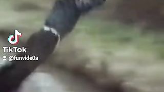 Wee videos 7
