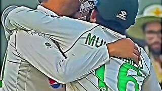 Find 'cricket video' on TikTok - TikTok Search_12.