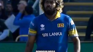 Find 'cricket video' on TikTok - TikTok Search_11.