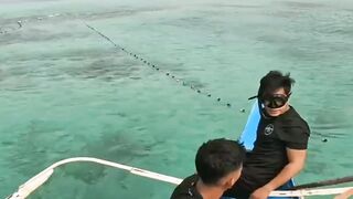 dive in the sea and look for fish