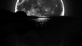 Alone 15