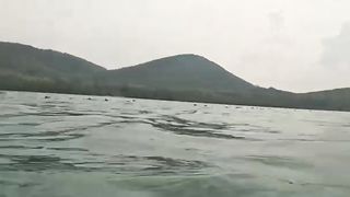 dive in the sea and look for fish 2