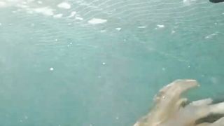 dive in the sea and look for fish 5