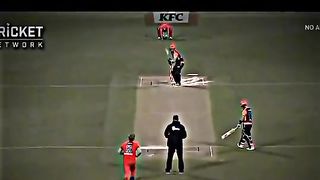 Find 'cricket videos six' on TikTok - TikTok Search_6.