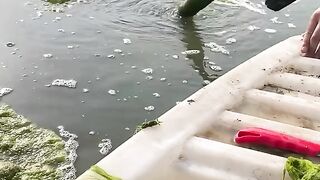 Most satisfying video