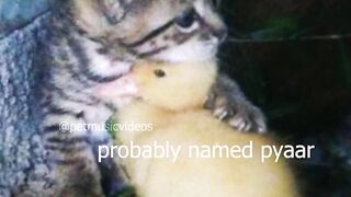Probably named pyaar