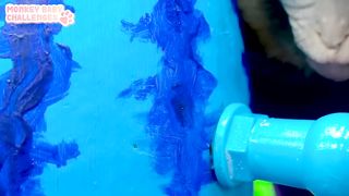 Baby Monkey Kiki play Red vs Blue Watermelon Life Hacks Machine _ Monkey Baby Challenges