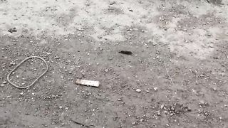 Induk kucing dan anaknya