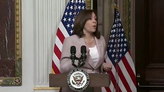 VP Harris Says the Quiet Part Out Loud