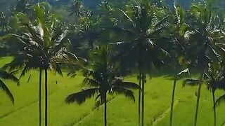 Pesona Alam Indah