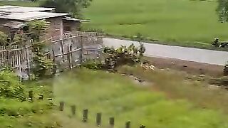 Pemandangan indah 3