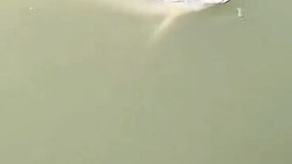 Fishing 10