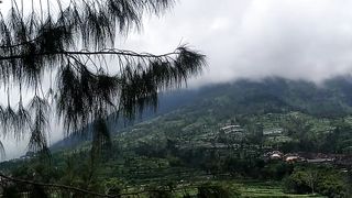 vieww
