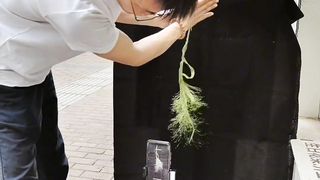 Amazing, amusing, cute, funny, funy,