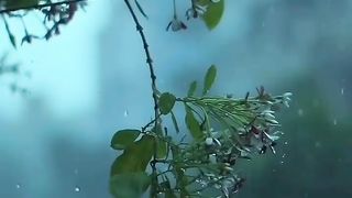 Nature beauty scenery
