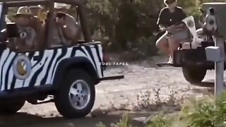 Most fuuny video 2