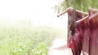 Funny Rainy video
