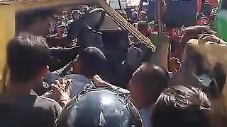 Truck vs bis