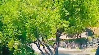 شاہی ٹوور