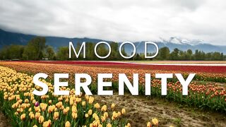 Relaxing Music for Sleep Meditation (No Copyright Music Video)