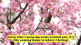 Romantic Words & Sweet Words for Someone You Love 5