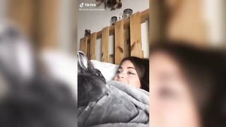 Os Coelhos mais FOFOS e ENGRAÇADOS do TikTok | Animais Fofos