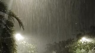 Rain In Street