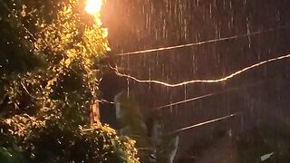 Yellow Rain