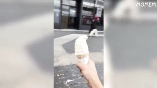 if you laugh 0 times you lose