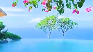 A piece of paradise