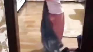 funny compilations