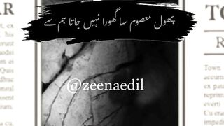 Shayari ????| phool masoom sa ghoora nai jata hum se ????????