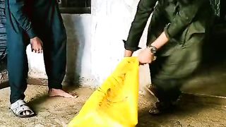 Funny video 916
