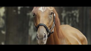 RIDE ON Trailer (2023) Jackie Chan Movie